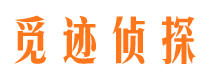 岱岳市婚外情调查